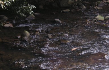 �������T��