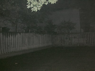 怪しいのか怪しくないのかすら分からん