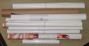 �������̃J�m���C�Ȃǐ��_��