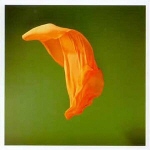 Metamatics - SpookTinselShoal