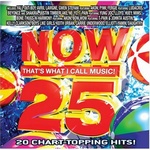 (V.A.) - "NOW 25"