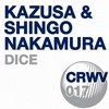 Kazusa & Shingo Nakamura - DICE