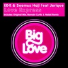 EDX & Seamus Haji feat. Jerique - Love Express