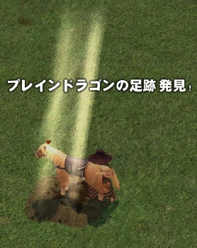 �v���C���h���S���̑��Ք����I