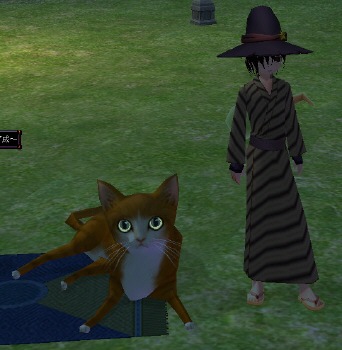 �ł����l�R