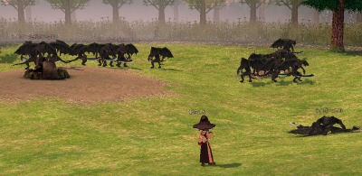 �K�[�S�C��������