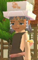 ���X�q����