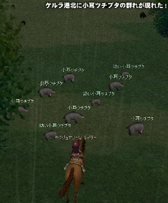 �P�����`�k�ɏ����c�`�u�^�̌Q�ꂪ���ꂽ�I