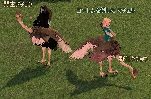 �쐶�_�`���E���쐶�_�`���E