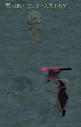 �r���ۂ��R���k�[�X��g�J�Q