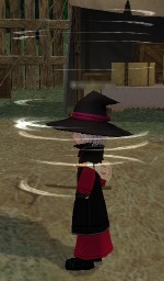 �T���h���X�i�C�p�[�u�[�c�̐��F�ɐ��������I