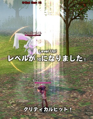 ���x����10�ɂȂ�܂����I�i���̃K�[�S�C���܂������Ă邗�j