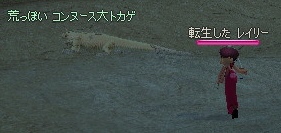 vs �r���ۂ��R���k�[�X��g�J�Q