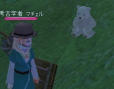 小さいシロクマ