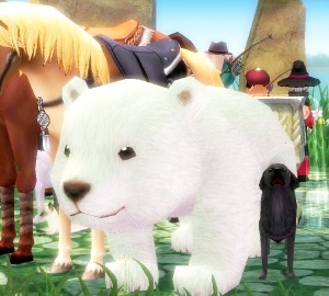 くまログイン画面