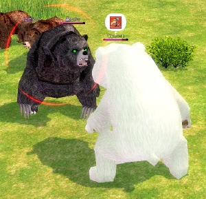 黒ヒグマ vs 北極クマ