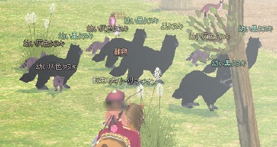 ���ʂ��̐e�q