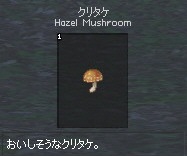 Hazel Mushroom