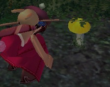 �����L�m�R