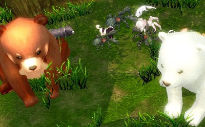 �y�b�g�W��