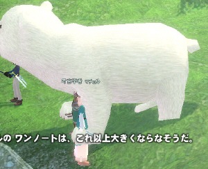 ����ȏ�傫���Ȃ�Ȃ������B