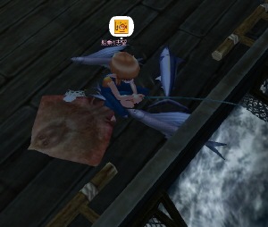 ���D�Œނ�