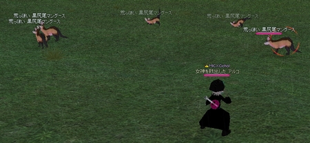 �r���ۂ����K���~5