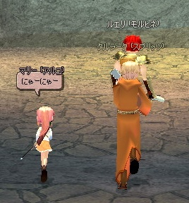 �t���b�^�̐^��