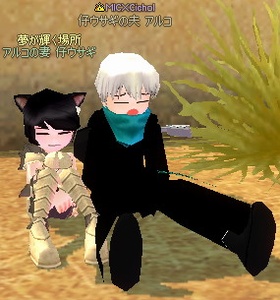 �͂���ꂽ�A�͂�������