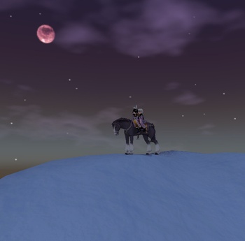 �R�����猎��]��