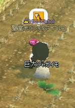 ����ɋ���W���K�C��