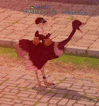 ���_�`���E�I