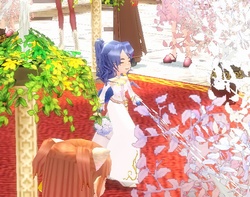 �t�F���i���f����