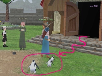 ��������o�Ă���y���M������