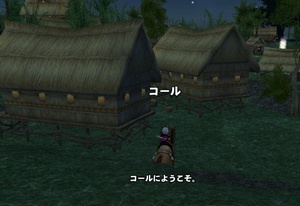 �R�[������