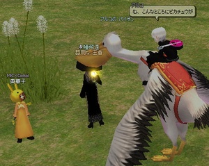 ����ȂƂ���Ƀs�J�`���E��