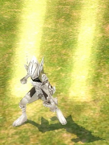 �q���p���f�B��