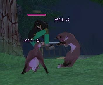 のどかな空気はどこへ?