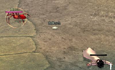 �c�O�ł���