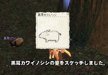 黒耳カワイノシシ