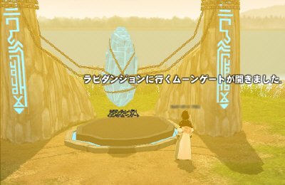 ���r�_���W������