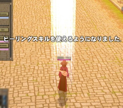 �q�[�����O�X�L��