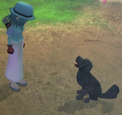 レイリー meets ワード