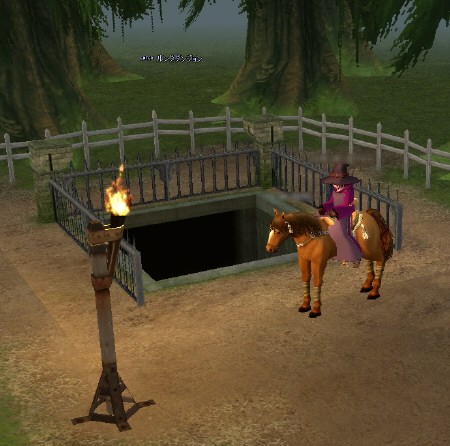 �����_�_���W����