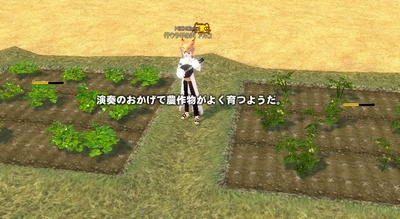 ���t�̂������Ŕ_�앨���悭��悤���B