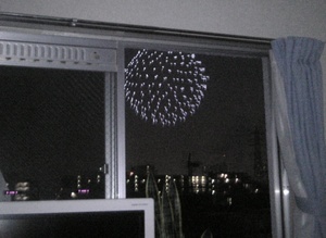 ��24��s��s���[���ԉΑ�� 01