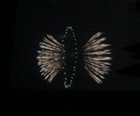 ��24��s��s���[���ԉΑ�� 02