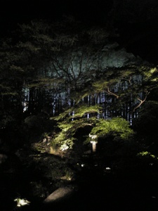 ���C�g�A�b�v 01