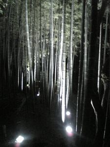 ���C�g�A�b�v 02