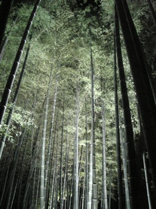 ���C�g�A�b�v 03